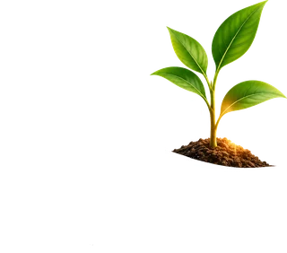 Didasko Project Portugal